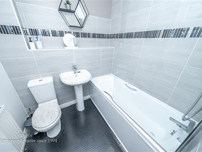 Picture 20